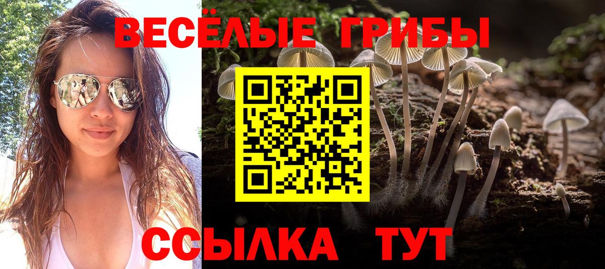 Галлюциногенные грибы MAGIC MUSHROOMS Новотроицк