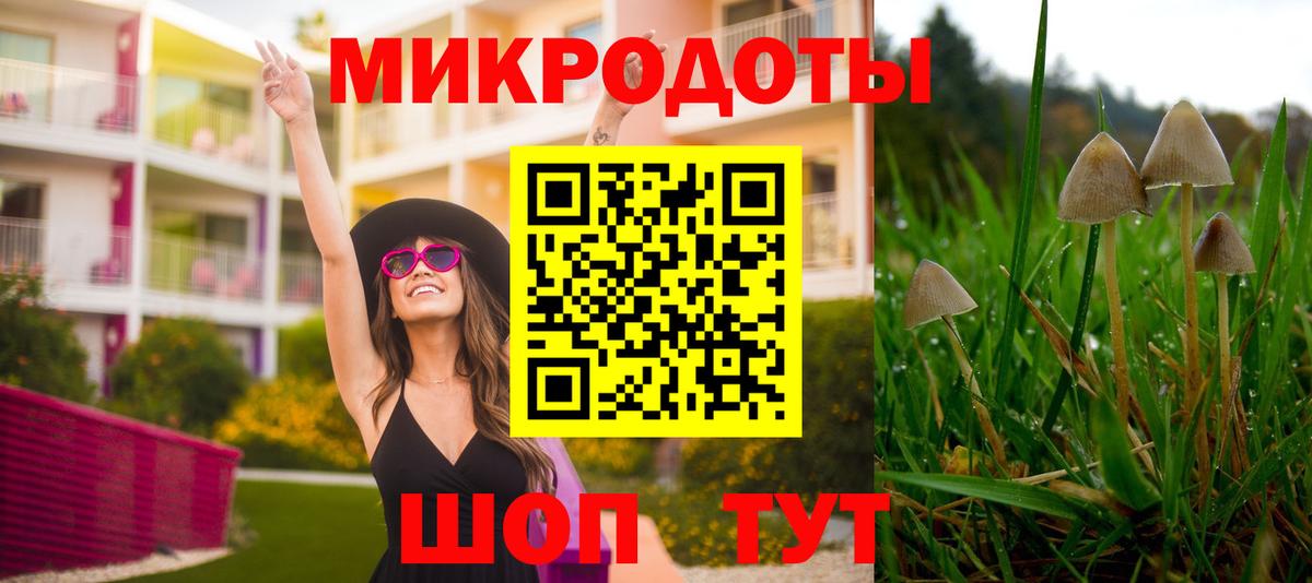 Псилоцибиновые грибы Psilocybine cubensis  Вход с VPN  Псилоцибиновые грибы ЛСД  Новотроицк 